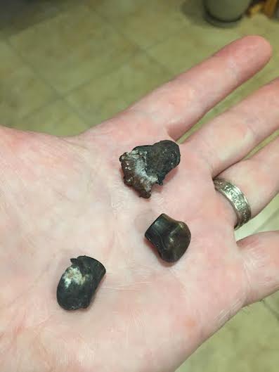 Bullets